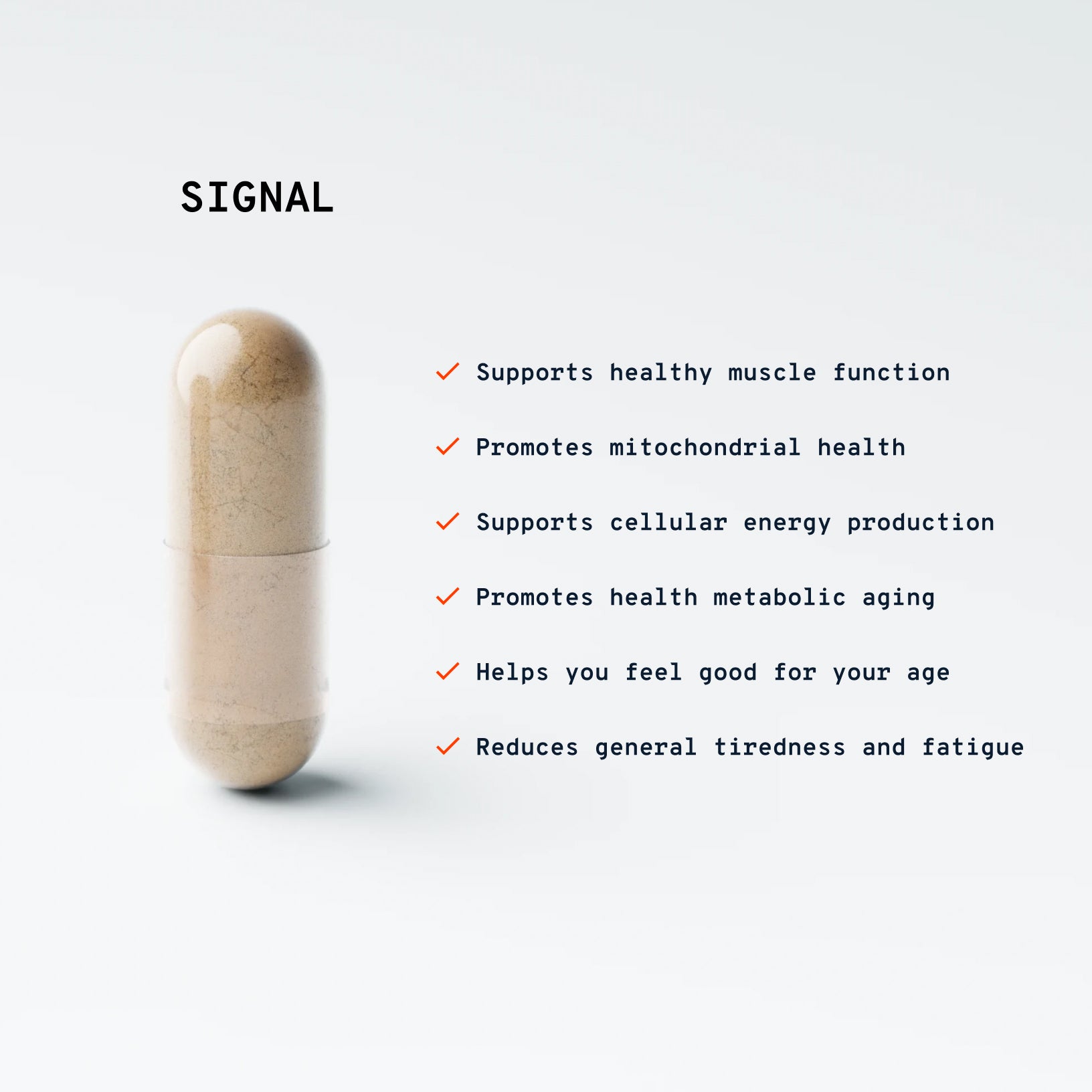 Signal_Carousel_Highlights.jpg
